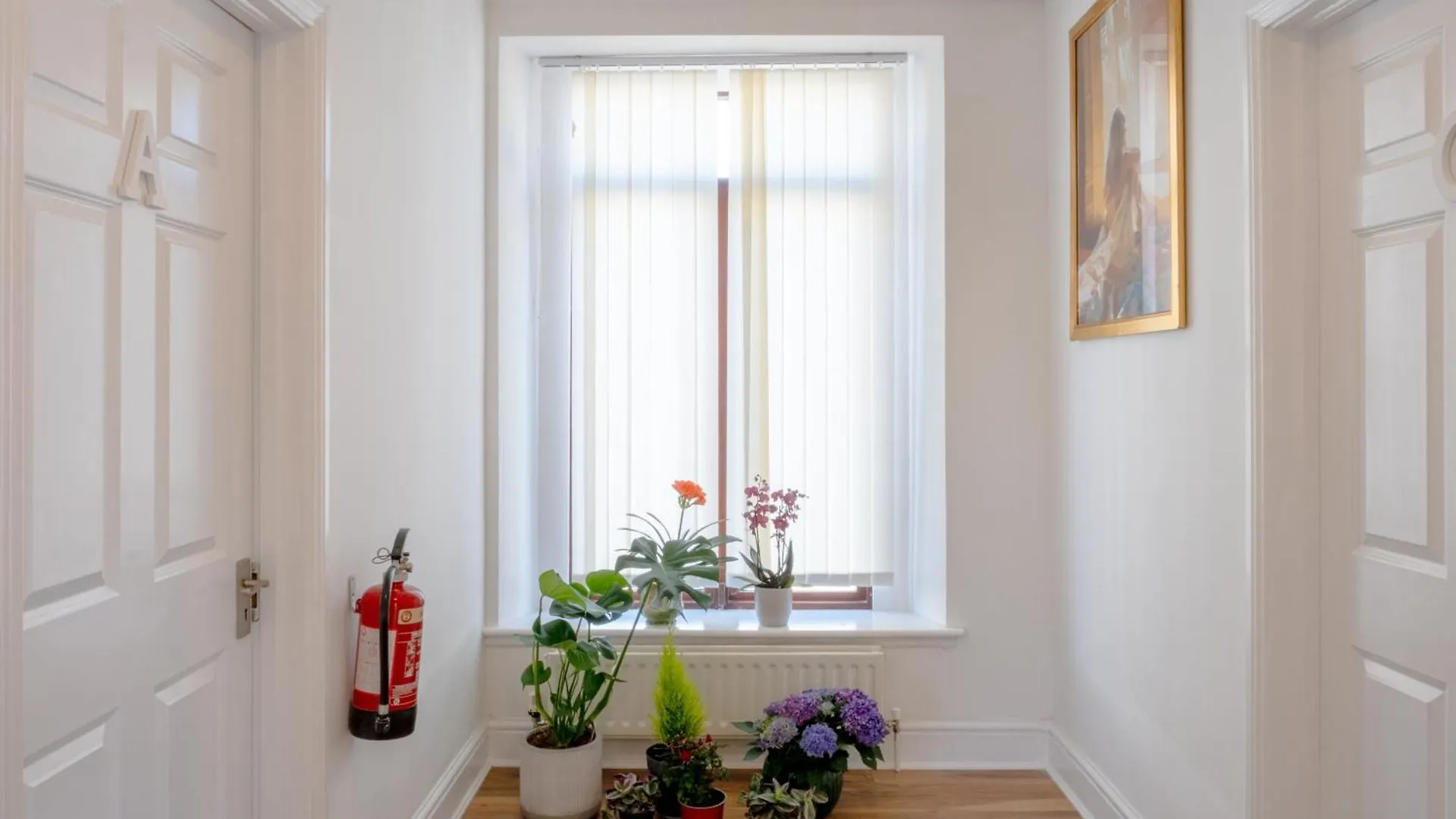 Vila Eblana House Dublin Irsko